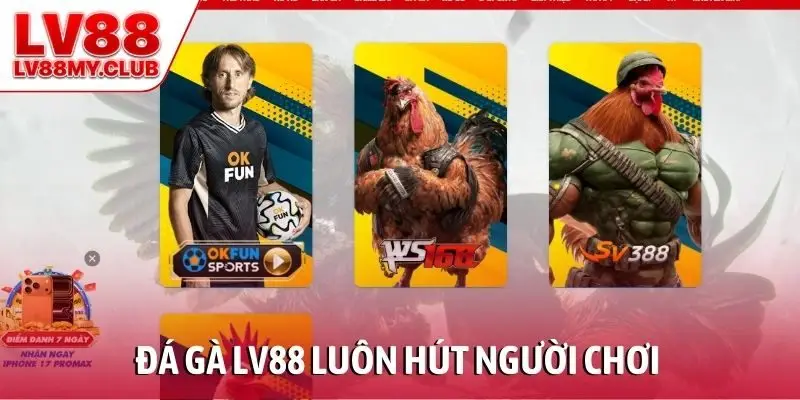 Đá gà LV88 luôn hút người chơi